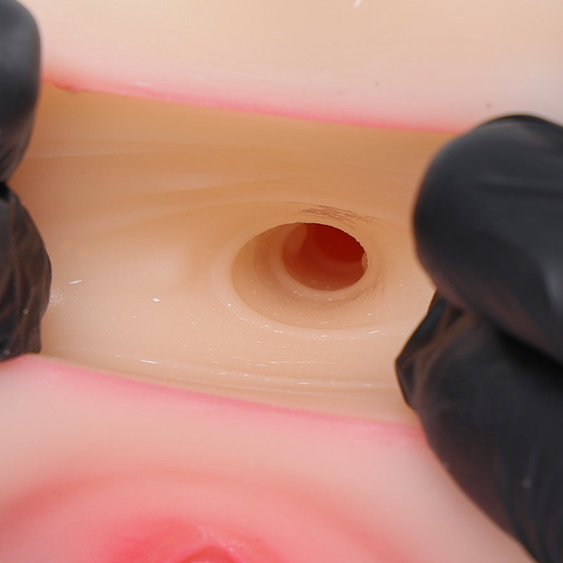 Realistic vaginal and anal tunnels with tight textures